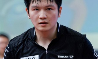 樊振东在德甲天天“开盲盒”？波尔说他在享受，球迷却看得心惊肉跳